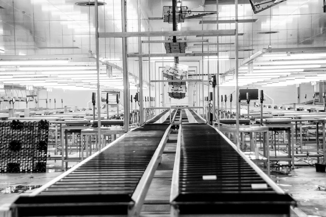 Food, Beverage & Consumer-goods